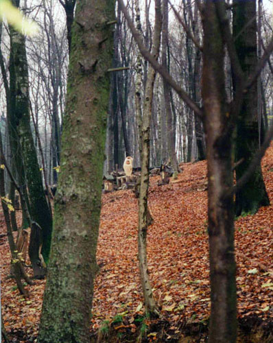 Ptolemäus auf Tisch