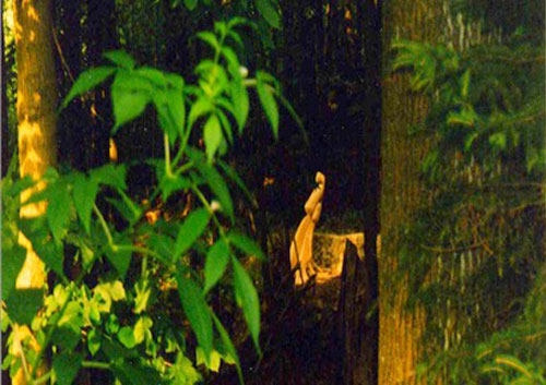 Der Wald wird Skulpturenpark