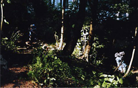 Es war einmal im Wald