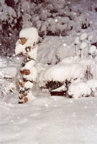 Lichtträger im Schnee